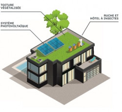 Toiture végétalisée en Normandie